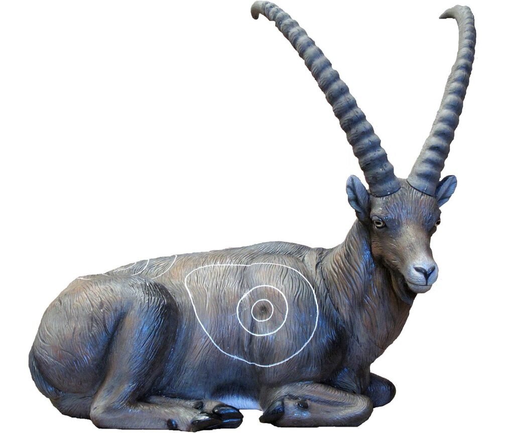 CIBLE 3D - IBEX COUCHE