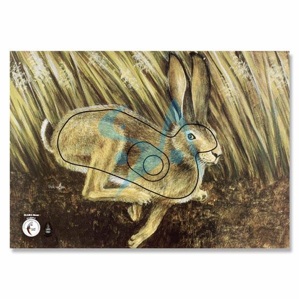 BLASON NATURE - ANIMAL GROUPE 4 – Image 6