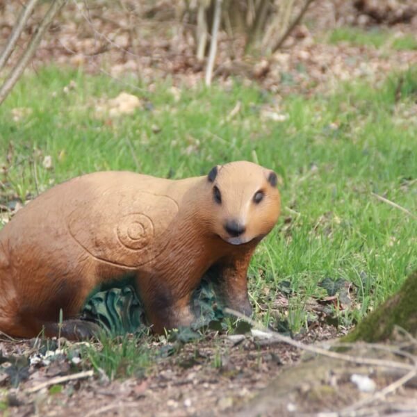 Cible 3D marmotte en mousse posée dans un sous-bois
