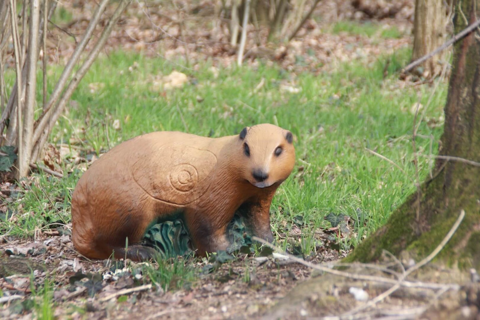CIBLE 3D - MARMOTTE