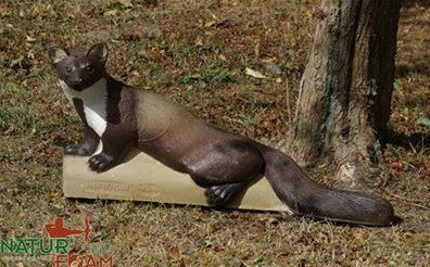 CIBLE 3D - FOUINE ALLONGEE - WF18AP (WEASEL)