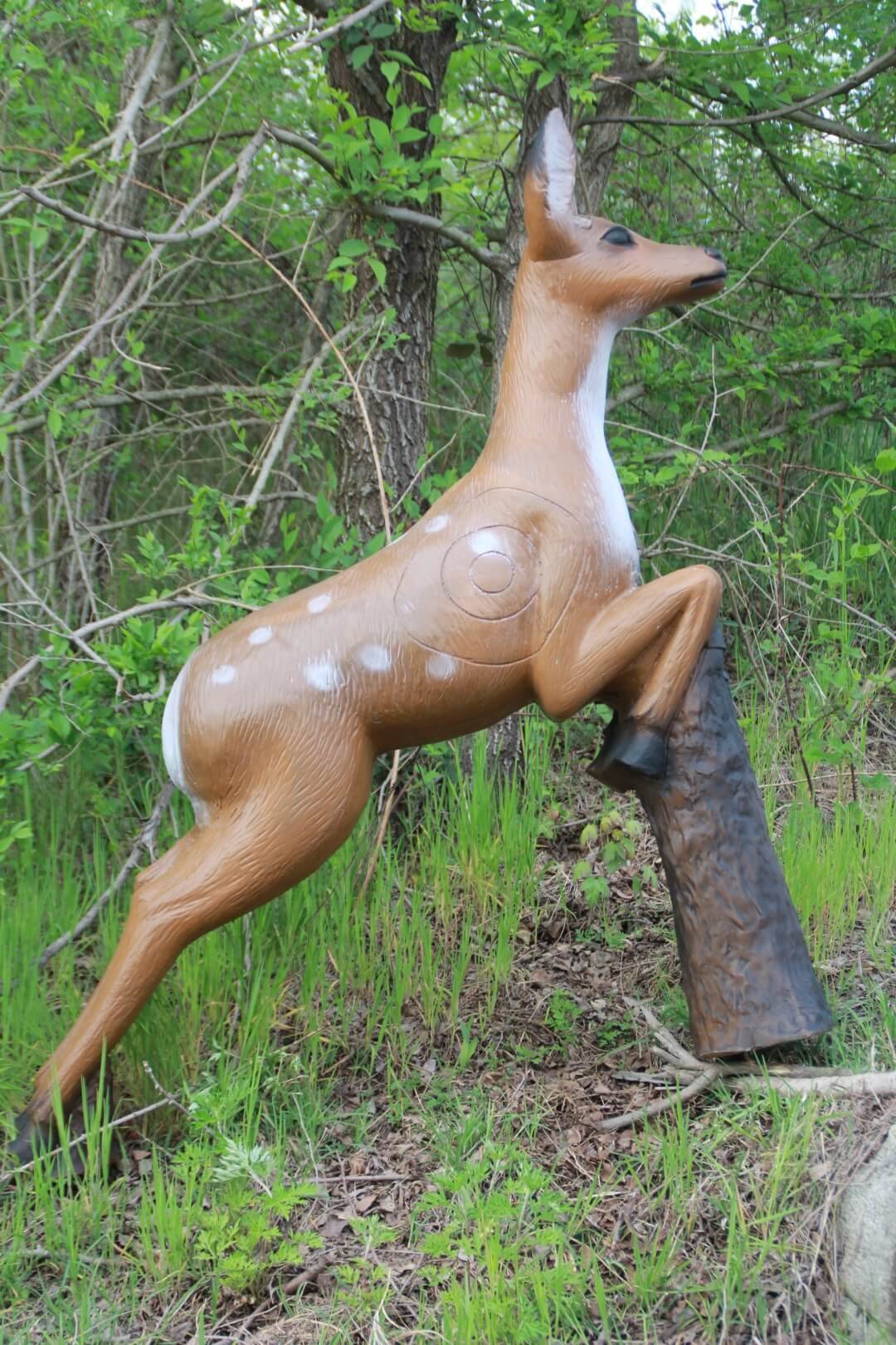 CIBLE 3D - DAIM SAUTANT