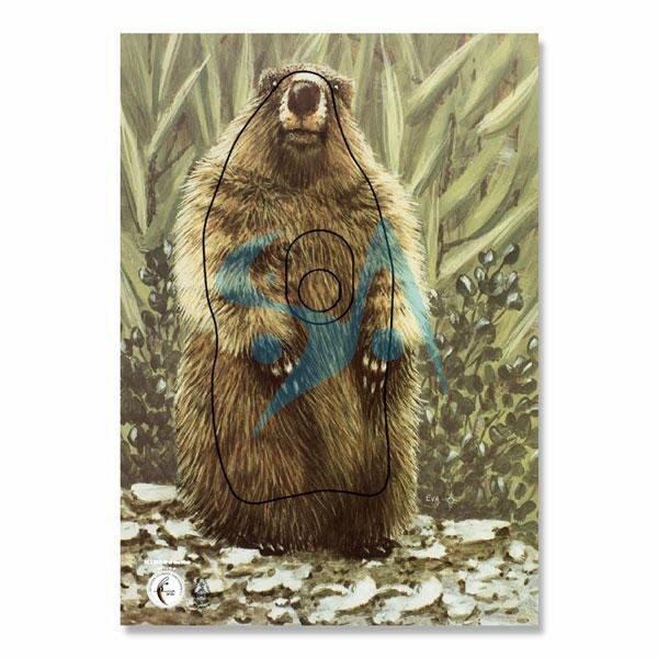 BLASON NATURE - ANIMAL GROUPE 4 – Image 8