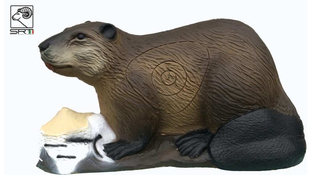 CIBLE 3D - CASTOR