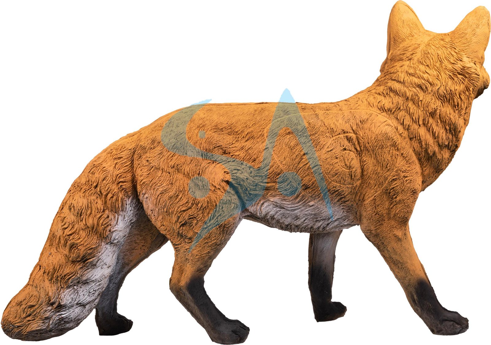 CIBLE 3D - RENARD – Image 4