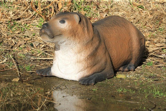 CIBLE 3D - LOUTRE