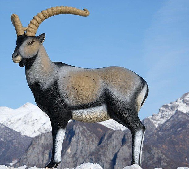 CIBLE 3D - CHEVRE SAUVAGE - MALE (WILD GOAT)