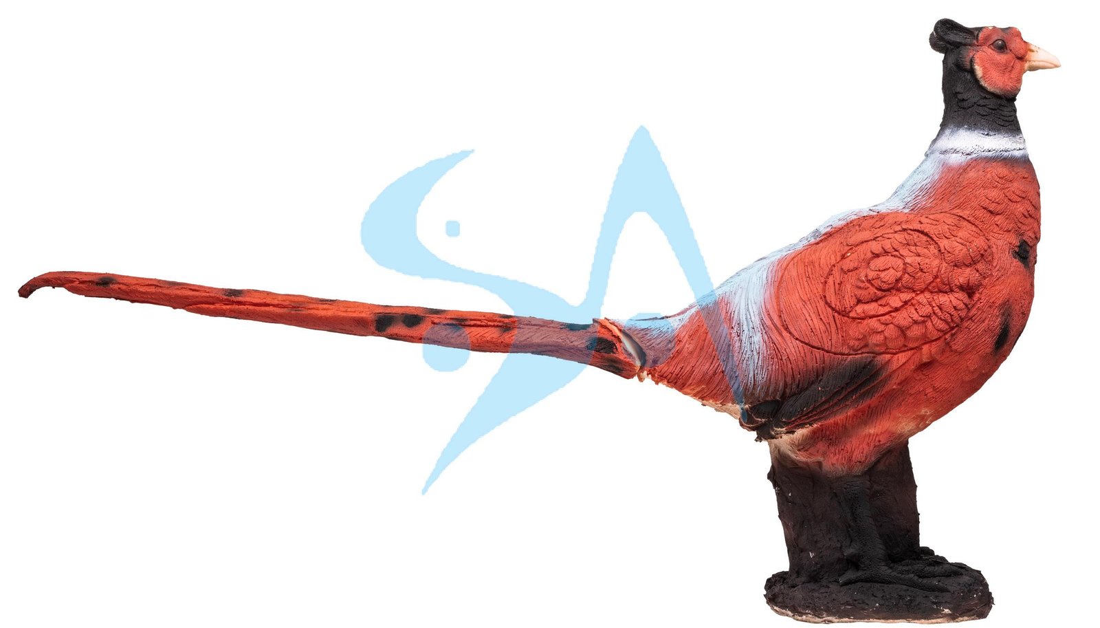 CIBLE 3D - FAISAN – Image 4