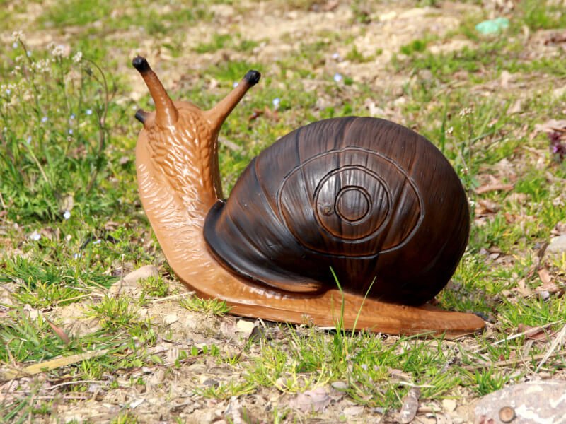 CIBLE 3D - ESCARGOT – Image 2