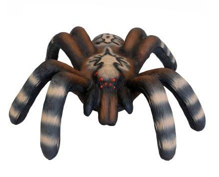 CIBLE 3D - ARAIGNEE LITTLE SPIDER