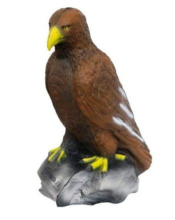CIBLE 3D - AIGLE ROYAL ASSIS
