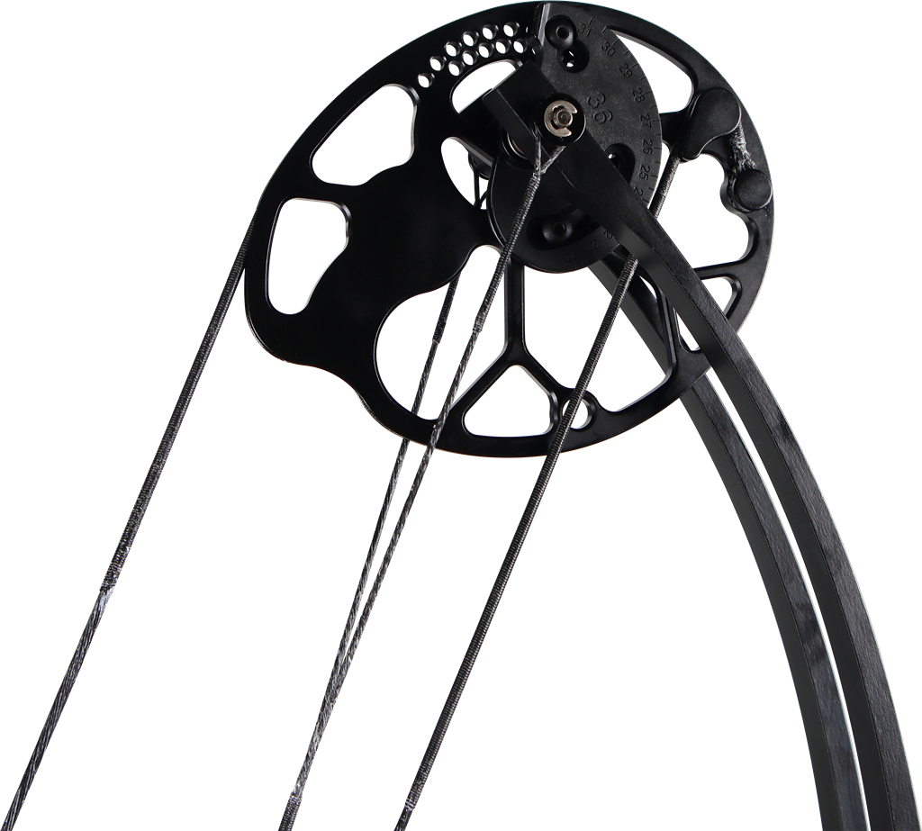 ARC A POULIES - STARTING 36 19-60lbs 20-31" – Image 3